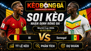 Đội hình dự kiến trước trận Bỉ và Senegal