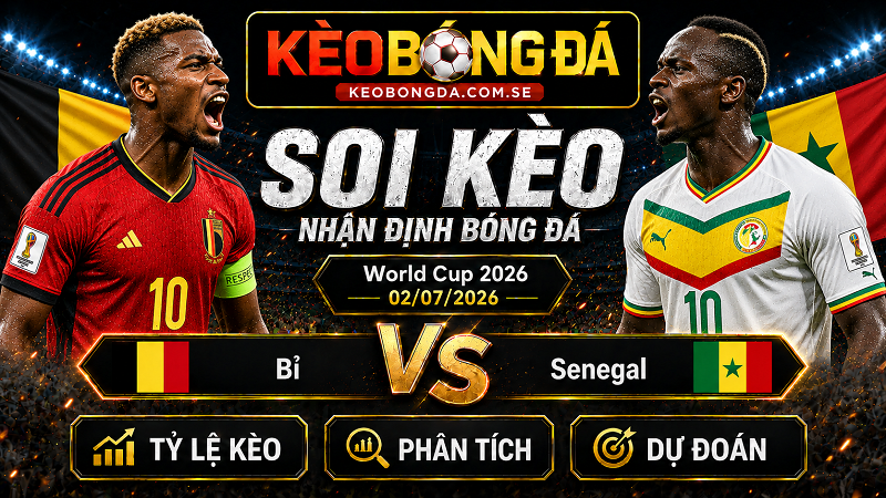 Đội hình dự kiến trước trận Bỉ và Senegal Đội hình dự kiến trước trận Bỉ và Senegal