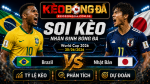 Đội hình dự kiến trước trận Brazil và Nhật Bản