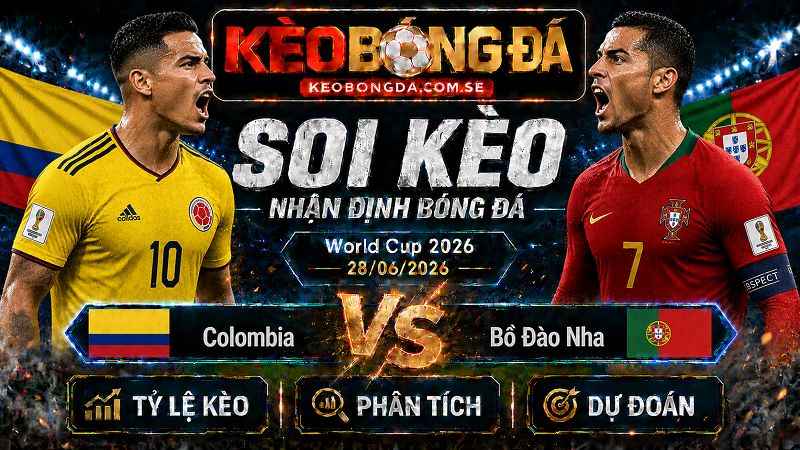 Đội hình dự kiến trước trận Colombia và Bồ Đào Nha Đội hình dự kiến trước trận Colombia và Bồ Đào Nha