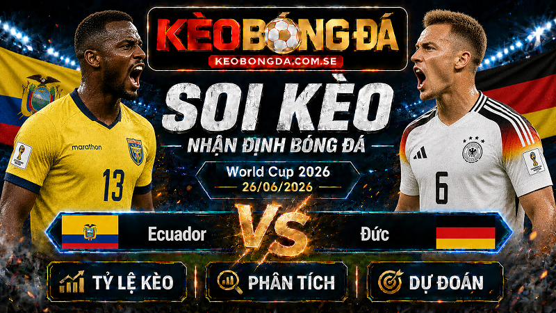 Đội hình dự kiến trước trận Ecuador và Đức Đội hình dự kiến trước trận Ecuador và Đức