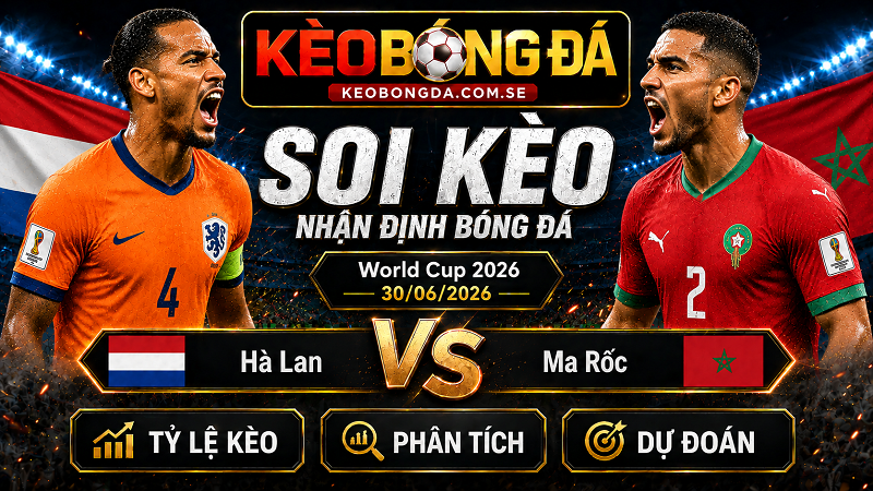 Đội hình dự kiến trước trận Hà Lan và Ma Rốc Đội hình dự kiến trước trận Hà Lan và Ma Rốc