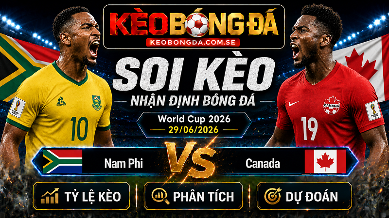 Đội hình dự kiến trước trận Nam Phi và Canada Đội hình dự kiến trước trận Nam Phi và Canada