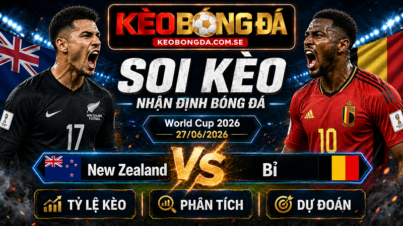 Đội hình dự kiến trước trận New Zealand và Bỉ Đội hình dự kiến trước trận New Zealand và Bỉ