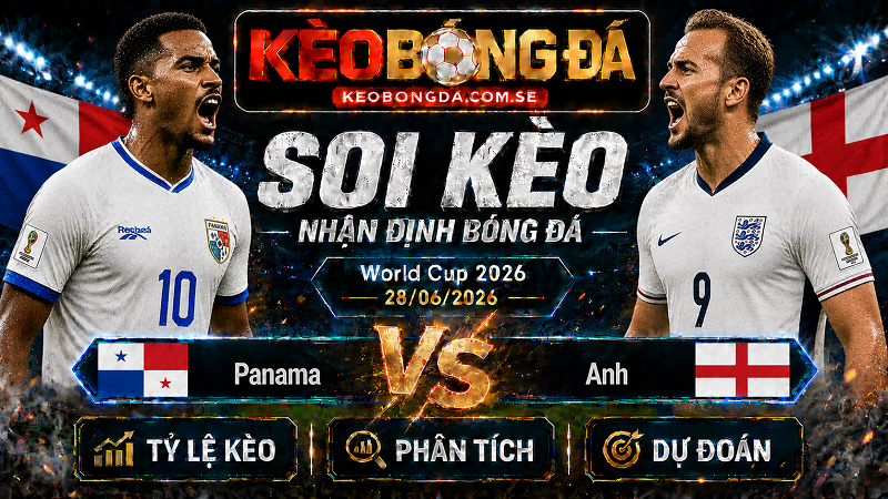 Đội hình dự kiến trước trận Panama và Anh Đội hình dự kiến trước trận Panama và Anh
