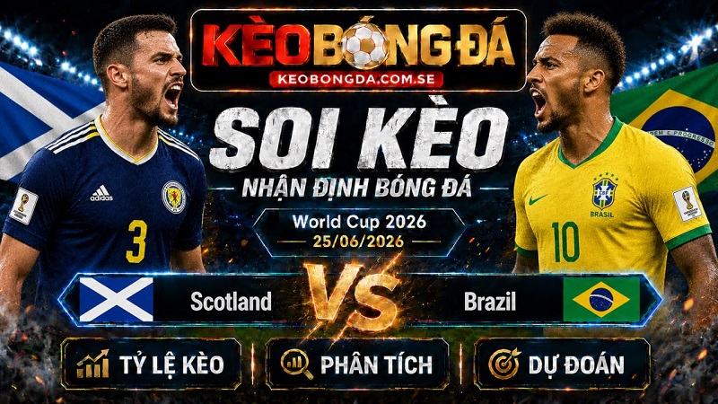 Đội hình dự kiến trước trận Scotland và Brazil Đội hình dự kiến trước trận Scotland và Brazil
