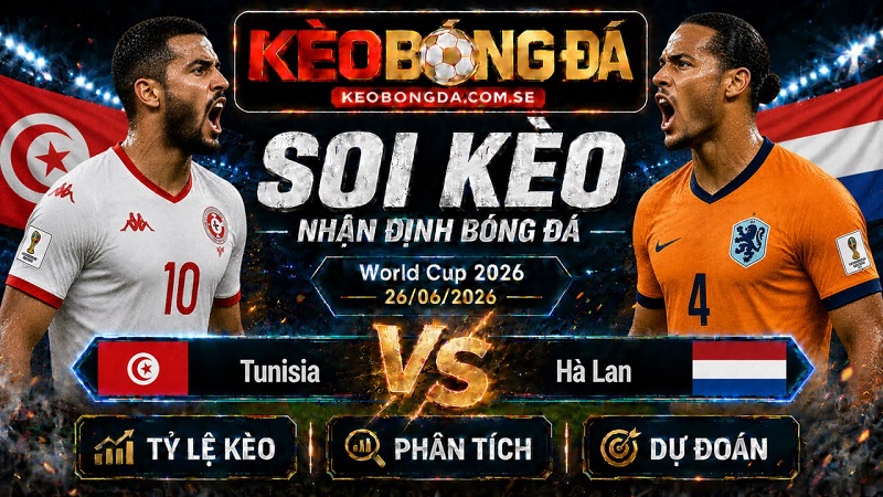 Đội hình dự kiến trước trận Tunisia và Hà Lan Đội hình dự kiến trước trận Tunisia và Hà Lan