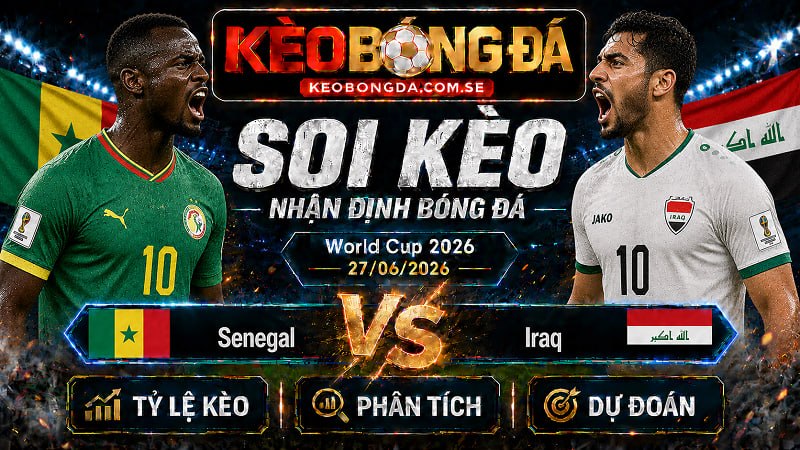 Đội hình dự kiến trước trận Senegal và Iraq Đội hình dự kiến trước trận Senegal và Iraq