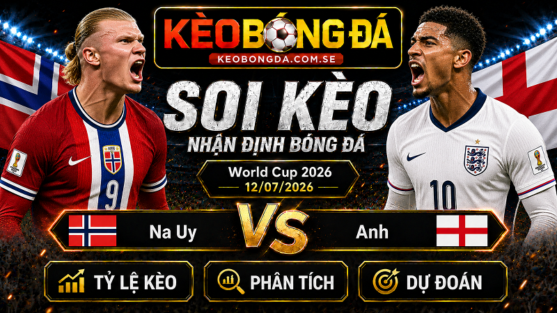 Đội hình dự kiến trước trận Na Uy và Anh Đội hình dự kiến trước trận Na Uy và Anh