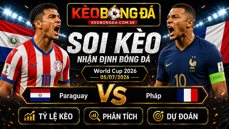 Đội hình dự kiến trước trận Paraguay và Pháp Đội hình dự kiến trước trận Paraguay và Pháp