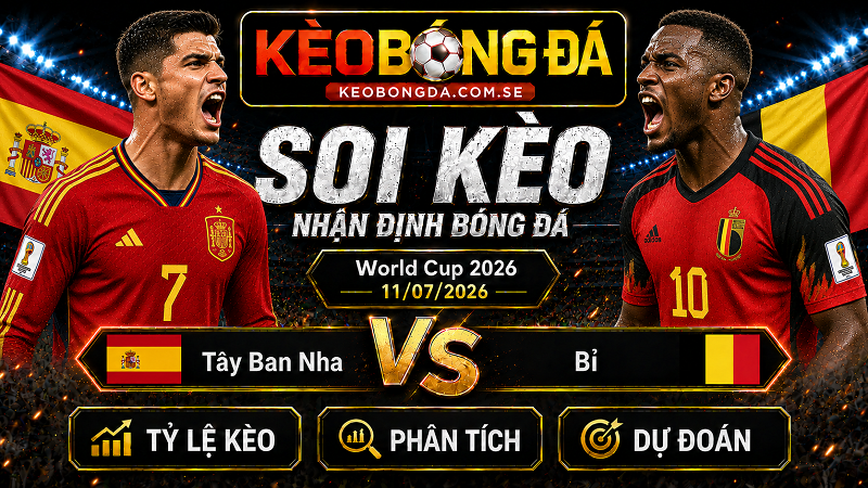 Đội hình dự kiến trước trận Tây Ban Nha và Bỉ Đội hình dự kiến trước trận Tây Ban Nha và Bỉ